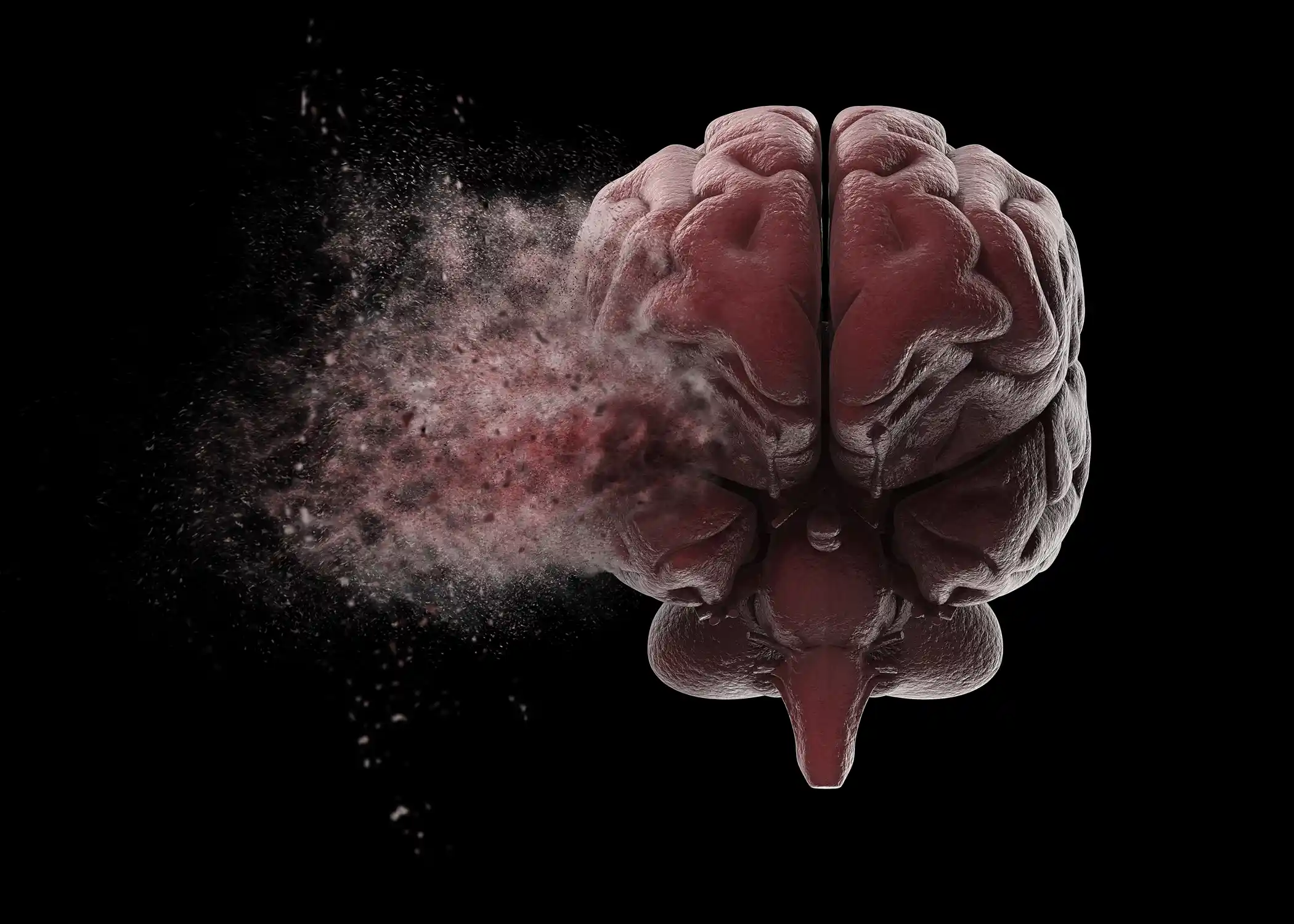 Google’s New Effort to Map the Human Brain Begins with Mice